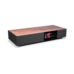 Cambridge Audio EVO ONE — sistema de audio todo en uno, panel trasero de conexiones