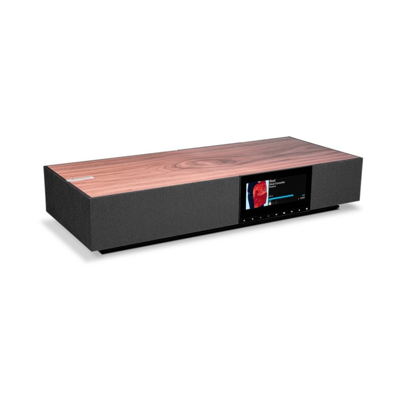 Cambridge Audio EVO ONE — sistema de audio todo en uno, panel trasero de conexiones