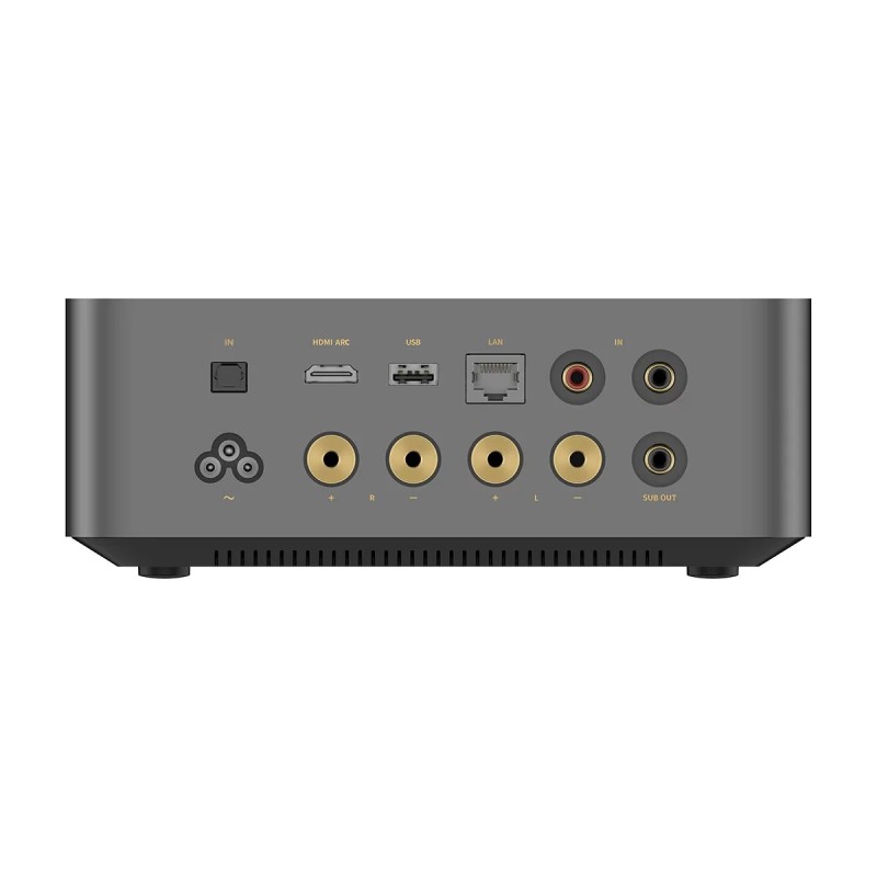 WiiM Amp Ultra — panel de conexiones