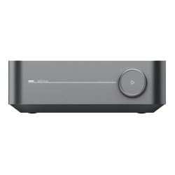 WiiM Amp — panel de conexiones