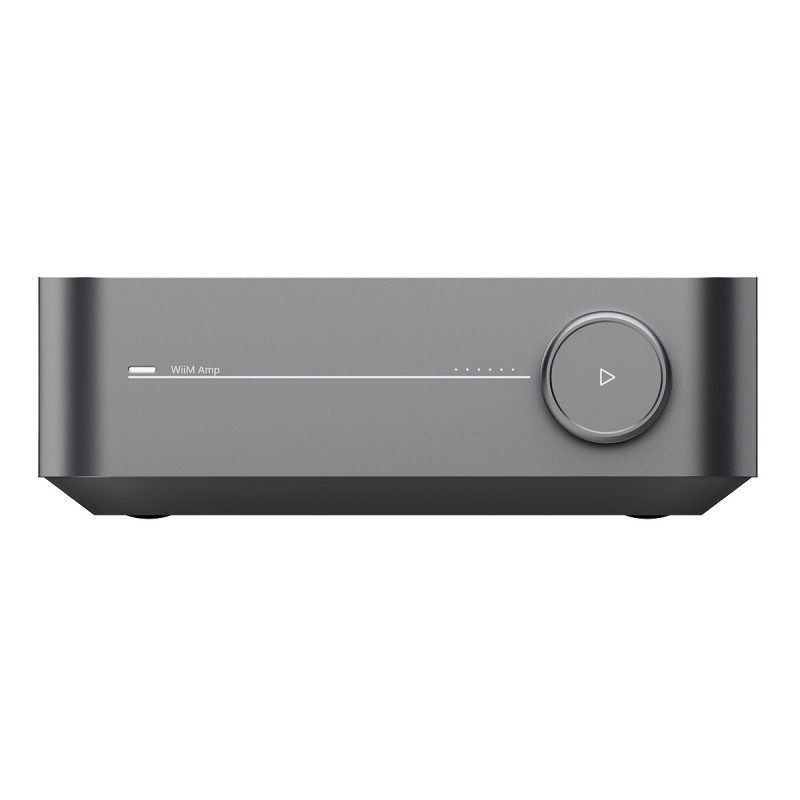 WiiM Amp — panel de conexiones