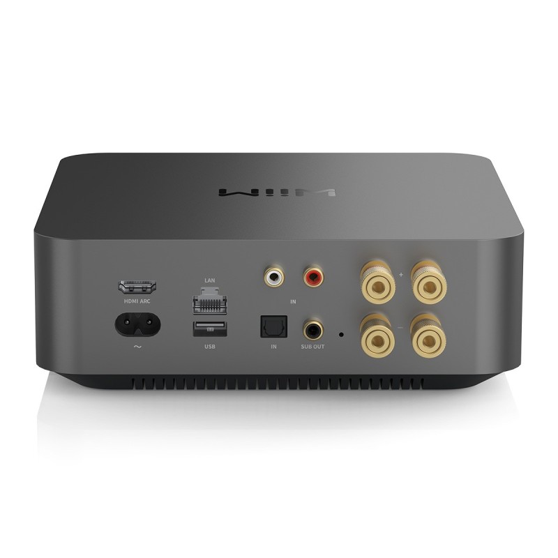 WiiM Amp Pro — panel de conexiones