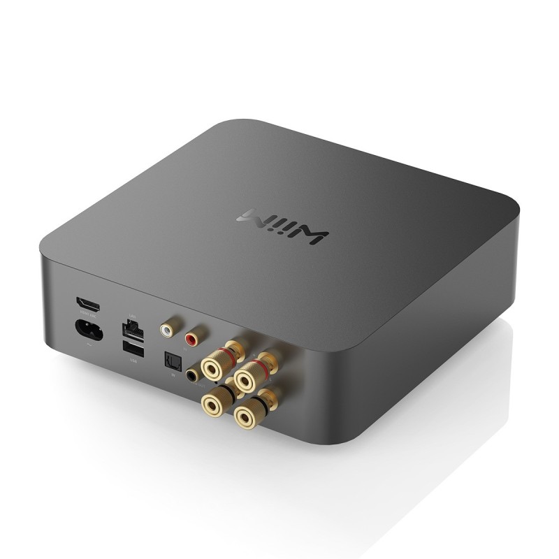 WiiM Amp Pro — vista trasera