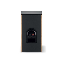 Focal Aria Evo X N1 Premium Walnut — panel trasero con terminales y puerto bass reflex