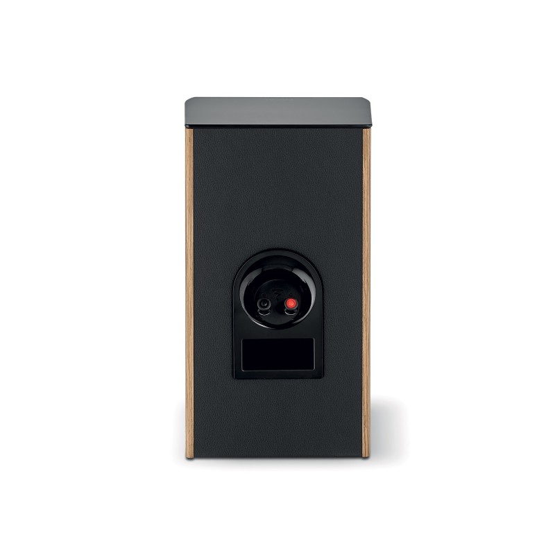Focal Aria Evo X N1 Premium Walnut — panel trasero con terminales y puerto bass reflex