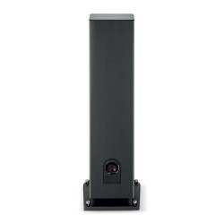 Focal Aria Evo X N4 Moss Green high gloss-vista posterior conexiones