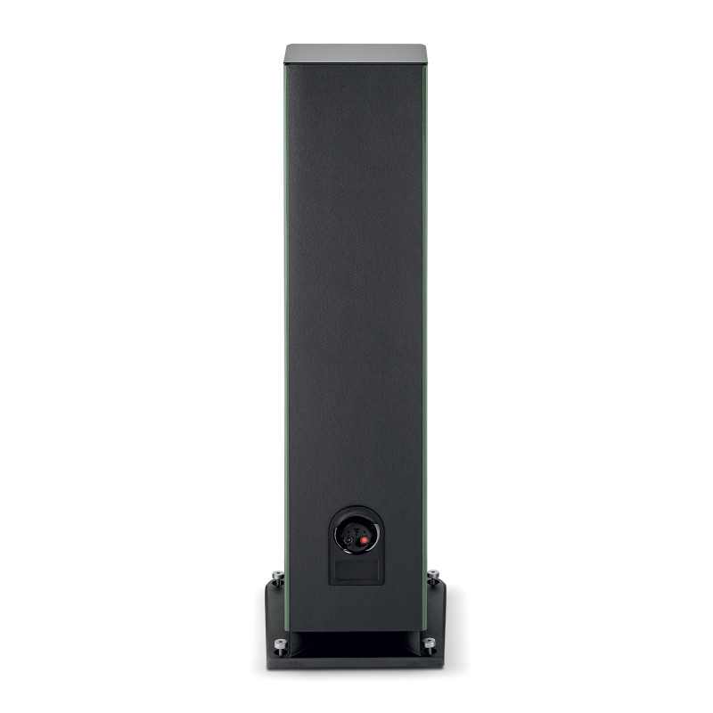 Focal Aria Evo X N4 Moss Green high gloss-vista posterior conexiones