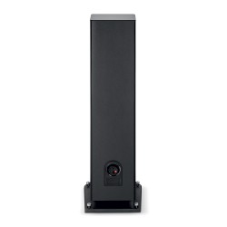 Focal Aria Evo X N4 Black high gloss vista posterior conexiones