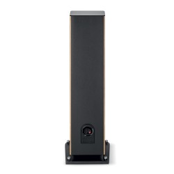 Focal Aria Evo X N4 Prime Walnut vista posterior conexiones
