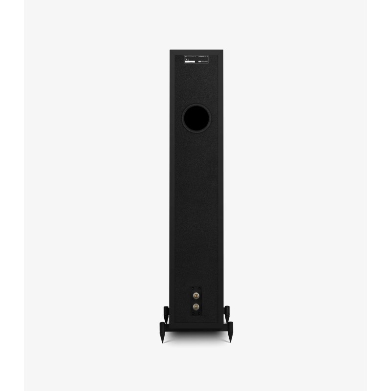 Wharfedale Diamond 12.3i all black vista trasera con conexiones