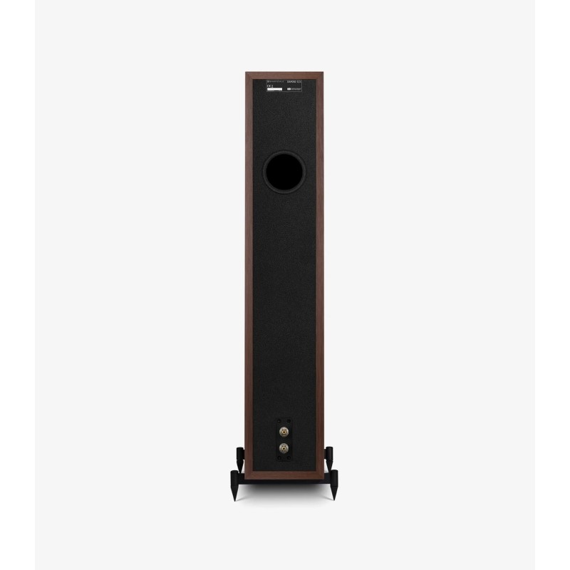 Wharfedale Diamond 12.3i Classic Walnut vista trasera conexiones