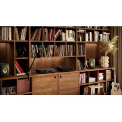 Hegel H150 | Amplificador con Streaming, DAC y Phono MM