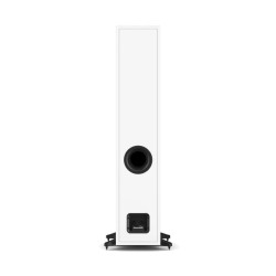 DALI Sonik 7 White — vista trasera con puerto y terminal