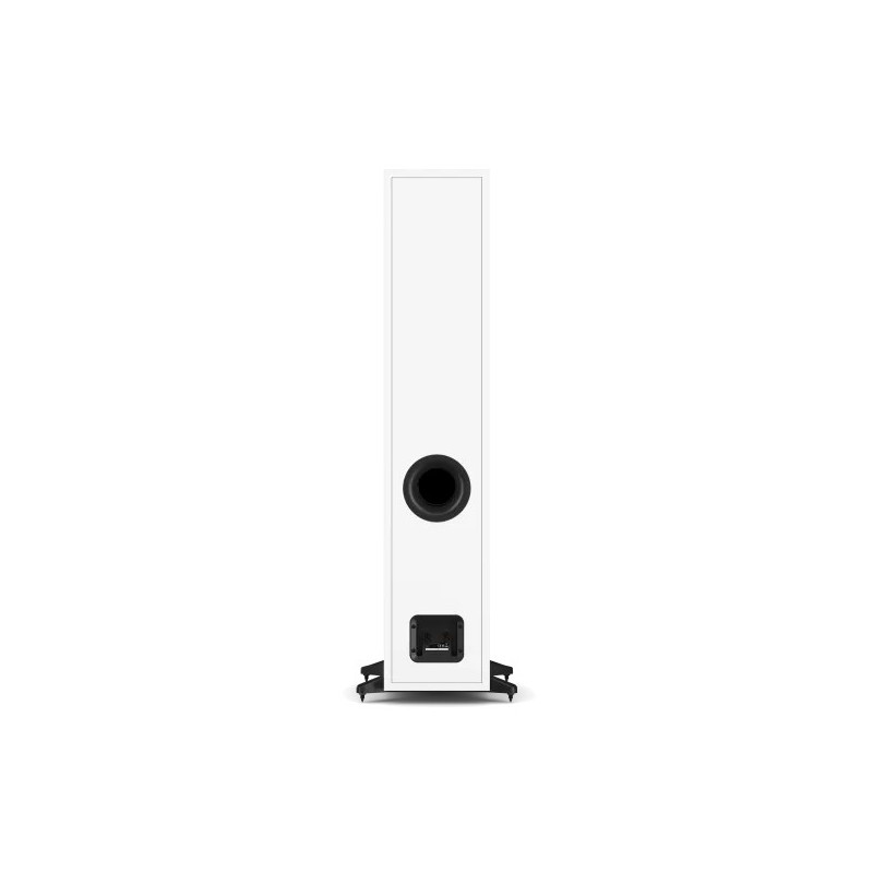 DALI Sonik 7 White — vista trasera con puerto y terminal