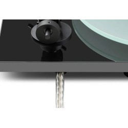 Pro-Ject T1 EVO negro alto brillo — detalle del cable RCA y contrapeso del brazo