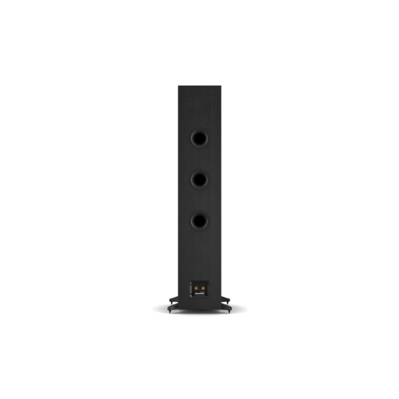 DALI SONIK 9 — columna de referencia en acabado roble natural, con rejilla