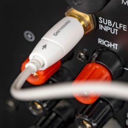 AudioQuest Greyhound | Cable de subwoofer para instalación