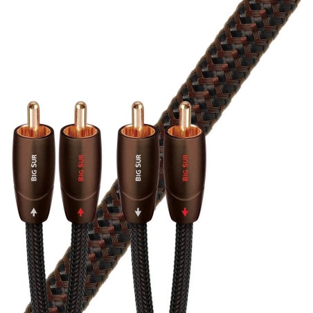 AudioQuest Big Sur | Cable de interconexión PSC+