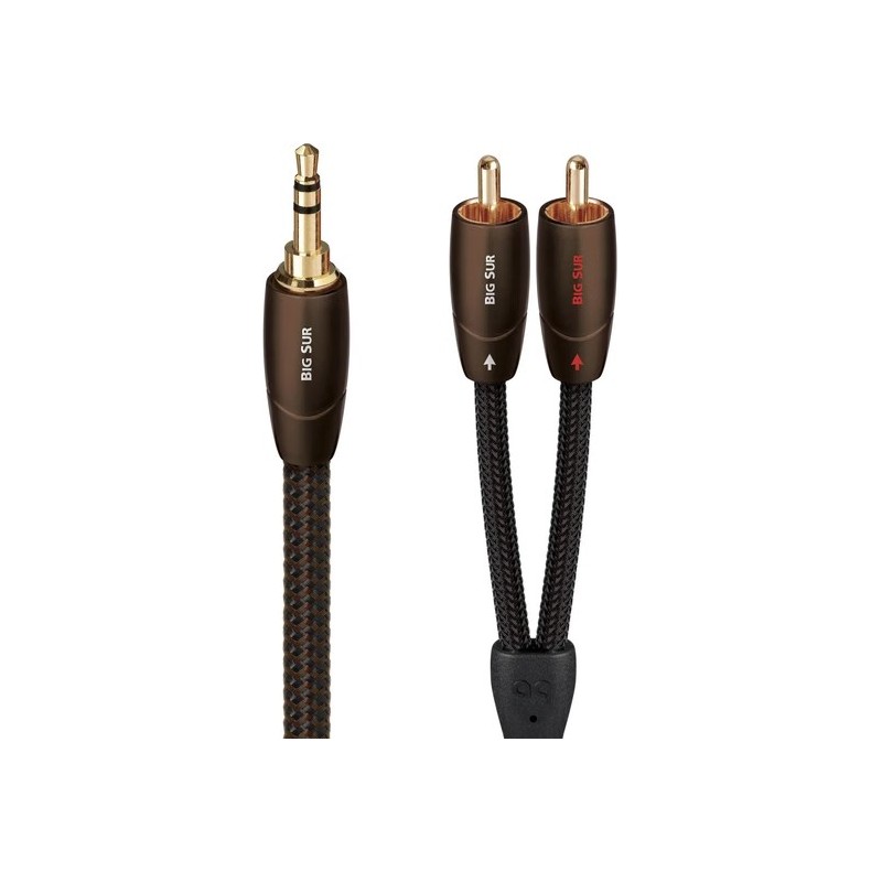 AudioQuest Big Sur | Cable de interconexión PSC+