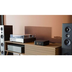 Bluesound Node Icon streamer con doble DAC y XLR | Stella AV