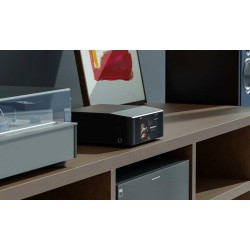 Bluesound Node Icon streamer con doble DAC y XLR | Stella AV