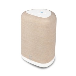 Bluesound Pulse Flex P130 altavoz de streaming | Stella AV