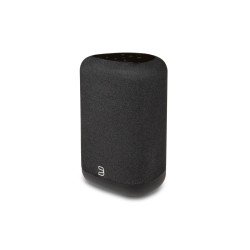 Bluesound Pulse Flex P130 altavoz de streaming | Stella AV