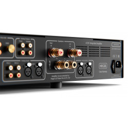 Hegel A200, panel trasero