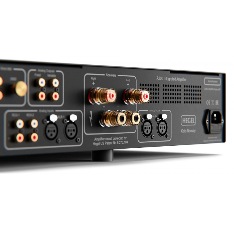 Hegel A200, panel trasero