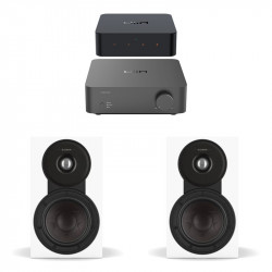 Pack WiiM Vibelink Amp + WiiM Pro + DALI Sonik 1, acabado White
