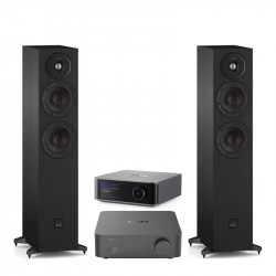 Pack WiiM Vibelink Amp + WiiM Ultra + DALI Sonik 5, acabado Black Ash