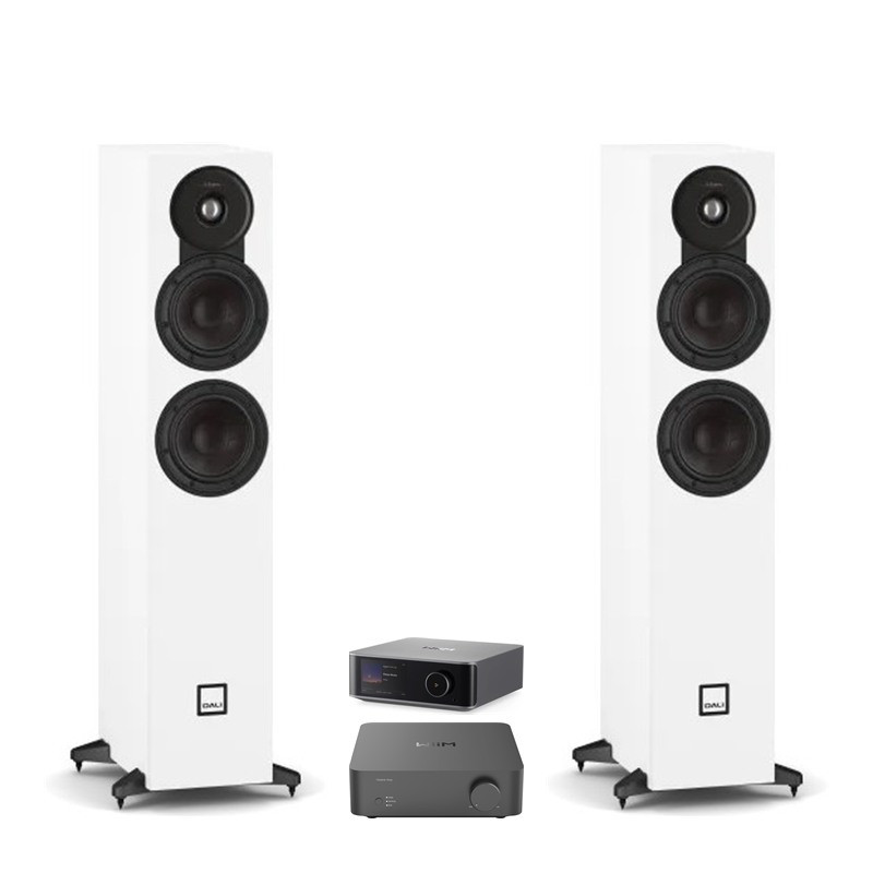 Pack WiiM Vibelink Amp + WiiM Ultra + DALI Sonik 5, acabado White
