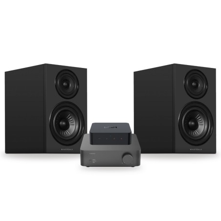 Pack WiiM Vibelink Amp + WiiM Pro + Wharfedale Diamond 12.2i, acabado All Black