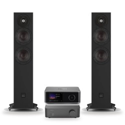 Pack WiiM Vibelink Amp + WiiM Ultra + DALI Sonik 5, acabado Black Ash