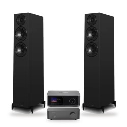 Pack WiiM Vibelink Amp + WiiM Ultra + Wharfedale Diamond 12.3i, acabado All Black