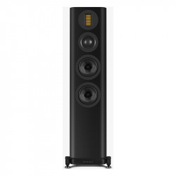 Wharfedale EVO 5.3, vista frontal