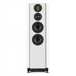 Wharfedale EVO 5.4, vista frontal