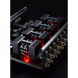 Primare A35.8, detalle