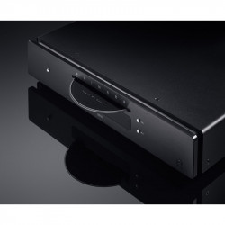 Primare DD15, detalle, en negro, negro