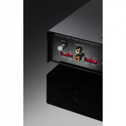 Primare R15, panel trasero