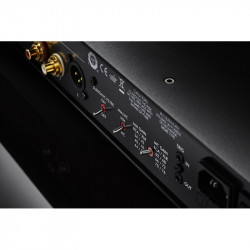Primare R35, panel trasero