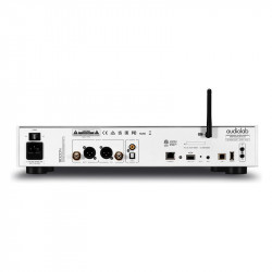Audiolab 9000N, panel trasero en plata