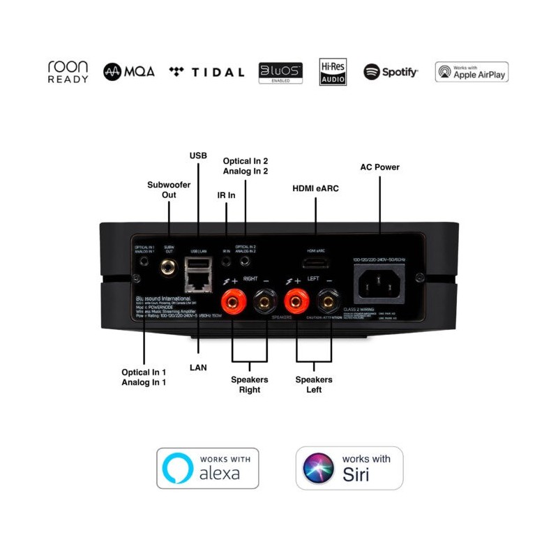 Bluesound PowerNode N330 negro — reproductor todo en uno Hi-Fi vista panel trasero