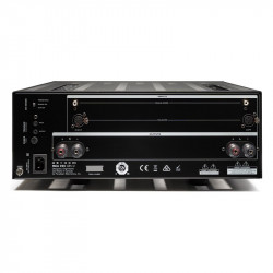 Anthem MCA 225 Gen 2, panel trasero