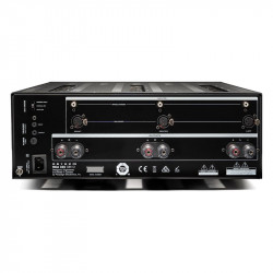 Anthem MCA 325 Gen 2, panel trasero