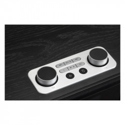 Roberts Blutune 300L, detalle de los mandos, negro