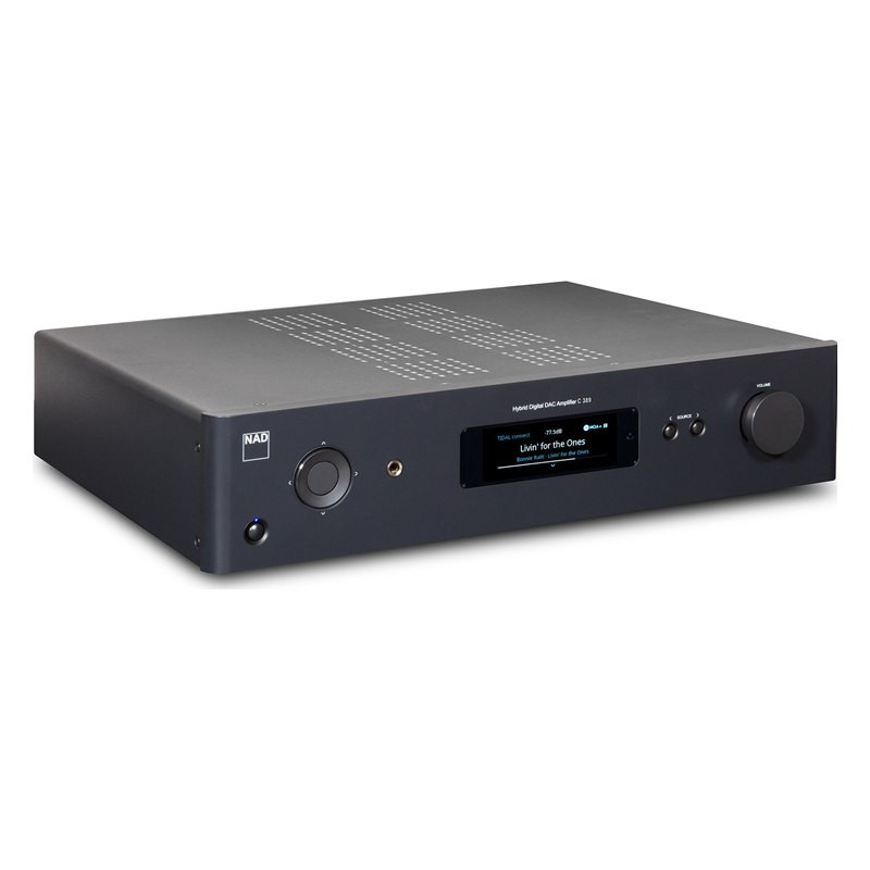 NAD C 389, vista de tres cuartos del frontal