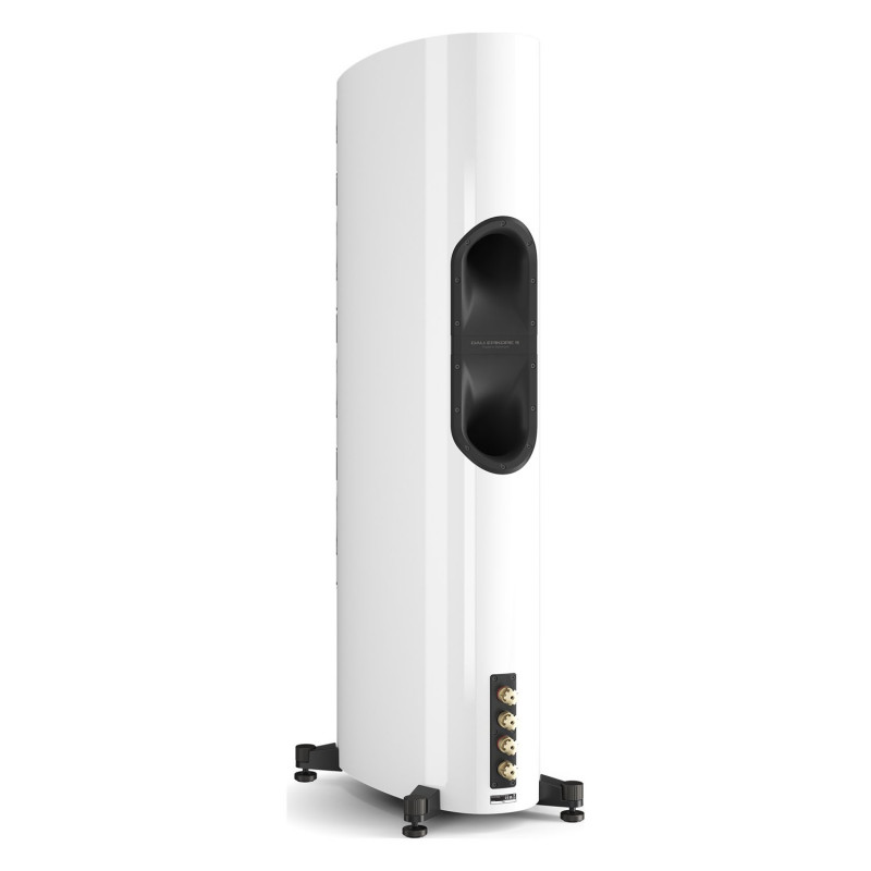 DALI EPIKORE 9, vista trasera de tres cuartos con los puertos reflex y los terminales, blanco brillo