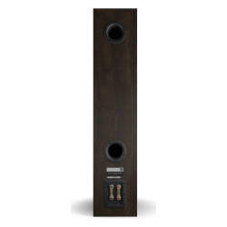 DALI Opticon 8 mk2, vista trasera con los bornes de bicableado, roble tabaco