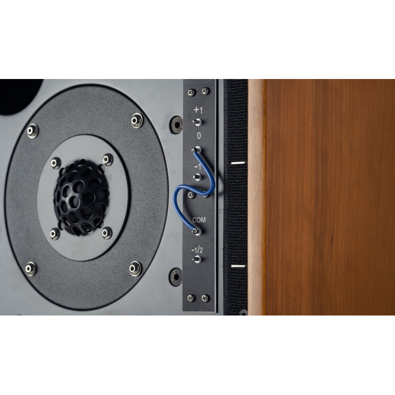 Musical Fidelity LS5/9, detalle del tweeter y los puentes de ajuste de agudos